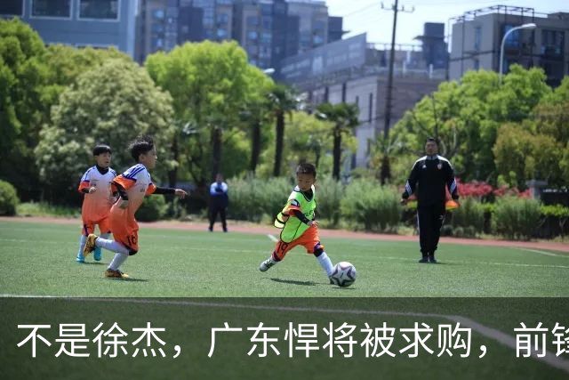 不是徐杰，广东悍将被求购，前锋，杜锋看重，转会费或8位数