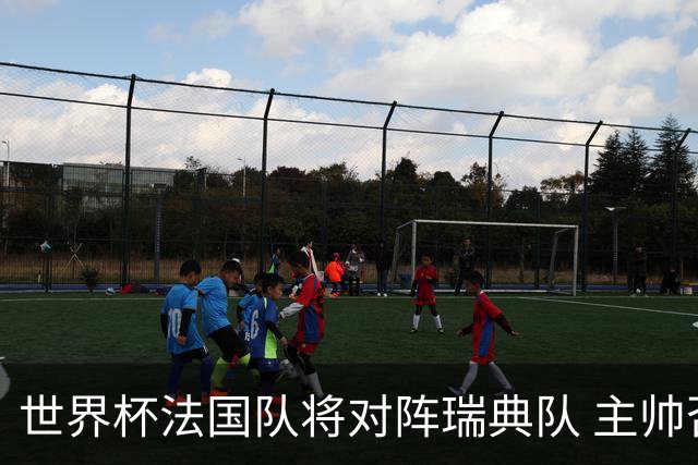 世界杯法国队将对阵瑞典队 主帅否认姆巴佩不防守