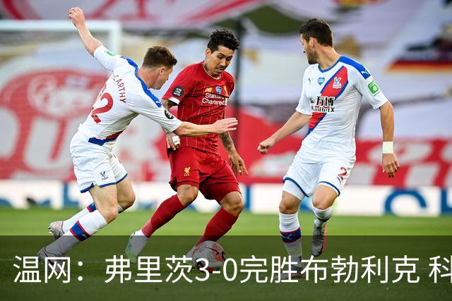 温网：弗里茨3-0完胜布勃利克 科博利费里挺进八强